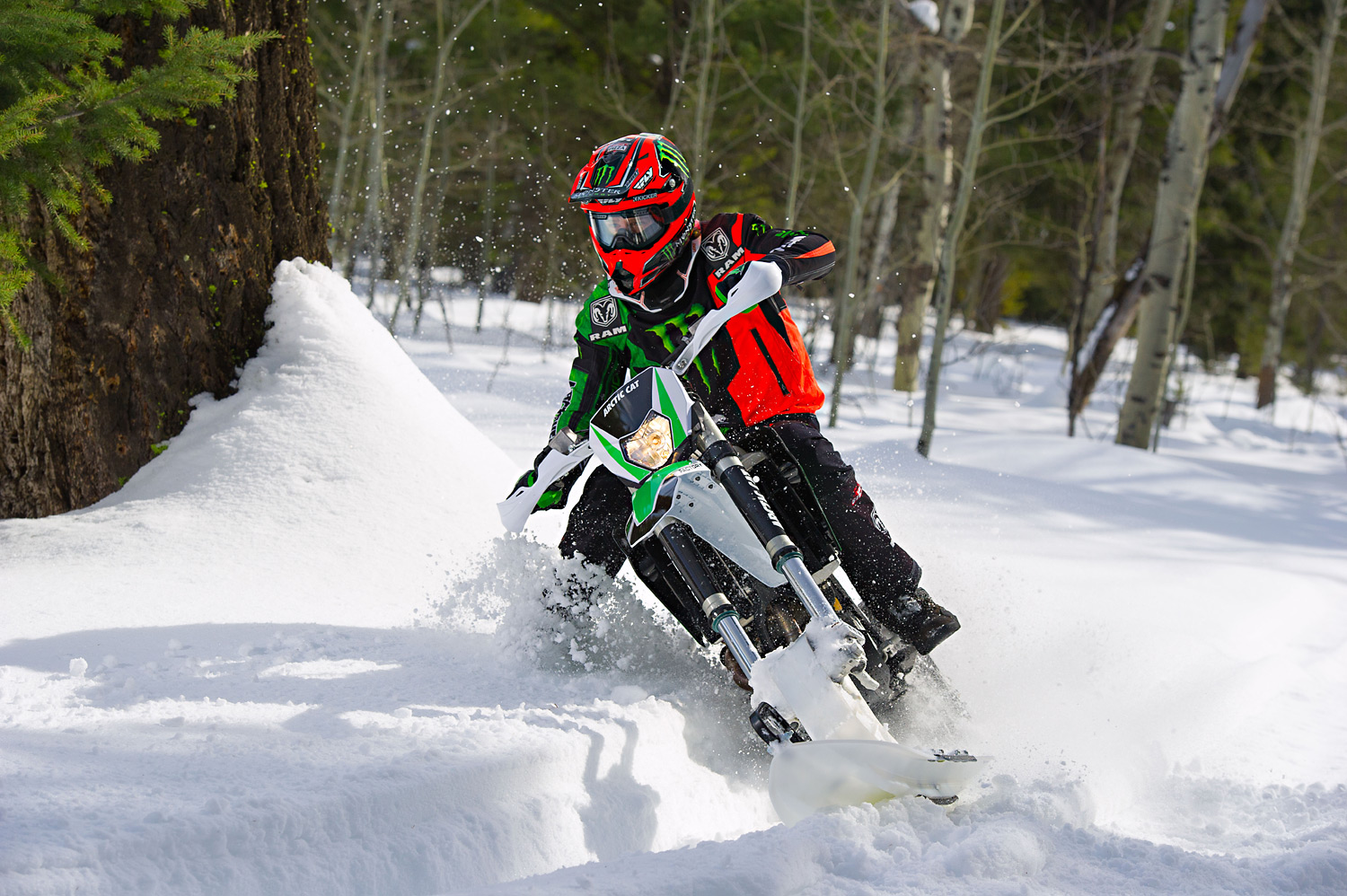 Arctic Snow Cat